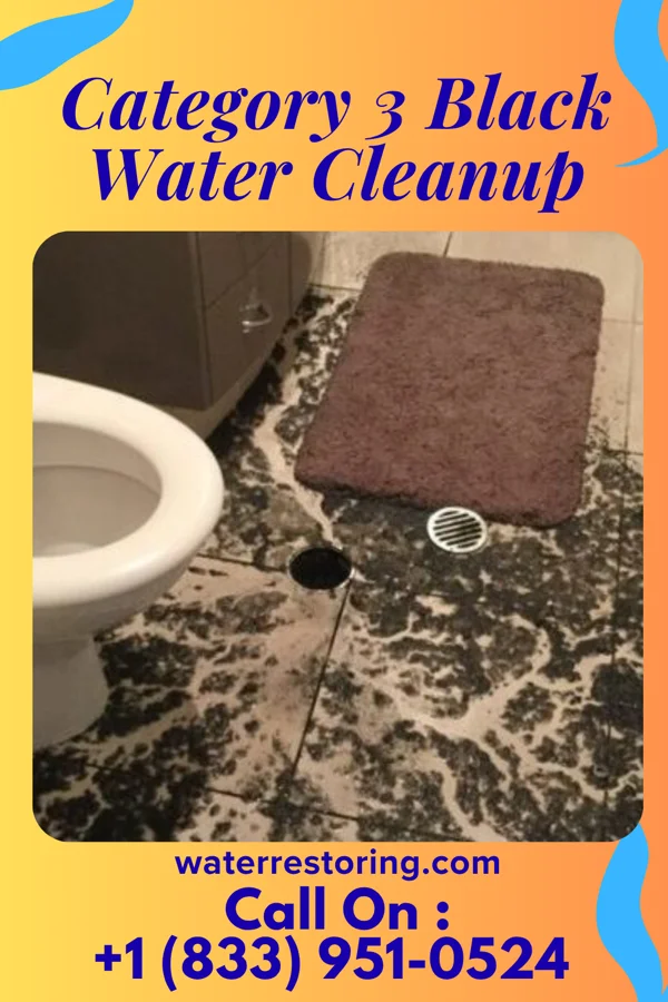 Category 3 Black Water Cleanup in Navajo Mountain, UT