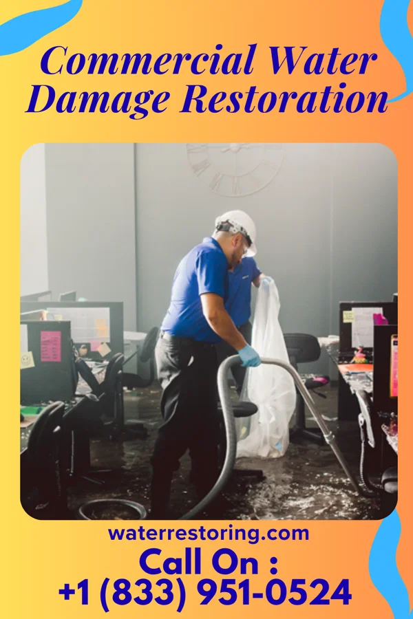 Commercial Water Damage Restoration in Navajo Mountain, UT